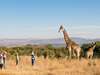 Fugitives' Drift Guest House -Walking Safari 